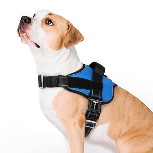 rabbitgoo Dog Harness for Large, Easy On Pet Vest with One Buckle, No Pull Adjustable Service Harness with D-Ring & Handle, Reflective for Safety Walking, Training, Blue, L - color: Blue, size: Large
