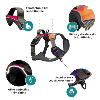 Embark Adventure Small Dog Harness – No-Pull, Reflective Trim, Military-Grade Nylon, Front Clip with Gel-Lined Handle, Soft & Padded Puppy Harness - color: Aurora, size: S