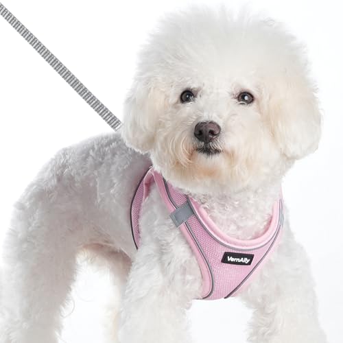 Sparkly Dog Harness Small Sized and Leash Set for Small Dogs Cats,Pink XXS Puppy Harness, Step in Soft Dog Reflective Vest, Breathable Mesh Pet Harness. (Pink, XXS) - color: Pink, size: XXS