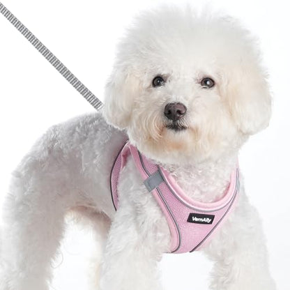 Sparkly Dog Harness Small Sized and Leash Set for Small Dogs Cats,Pink XS Puppy Harness, Step in Soft Dog Reflective Vest, Breathable Mesh Pet Harness. (Pink, XS) - color: Pink, size: XS