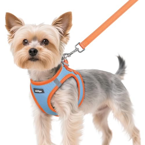 rabbitgoo Dog Harness Small Sized and Leash Set, Step-in Breathable Pet Harness, Soft Walking Reflective Puppy Vest for Small Dogs, Light Blue & Orange, XS - color: Light Blue & Orange, size: XS (Chest: 13.3 - 15.5")