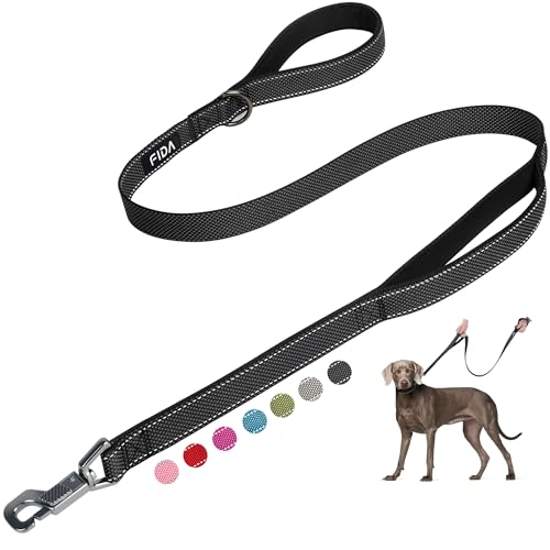 Fida 5 FT Heavy Duty Dog Leash with 2 Comfortable Padded Handles, Traffic Handle & Advanced Easy Snap Hook, Reflective Walking Lead for Large, Medium & Small Breed Dogs, Black - color: Black, size: 5 Feet (Pack of 1)
