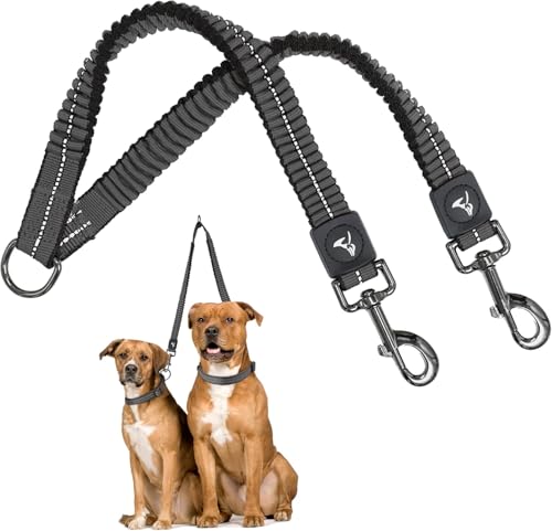 Double Dog Leash for Small Dogs (Width - 5/8”, Length 14"-27”) | Nylon Dual Dog Leash with Tangle-Free Swivel | Shock-Absorbing Reflective Bungee for Comfortable Walking & Training – Grey - color: Gray, size: Small: 5/8" x 14"