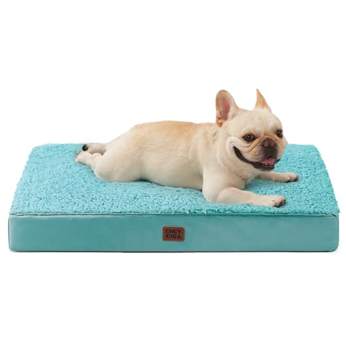 EHEYCIGA Orthopedic Medium Dog Beds for Small Dogs with Removable Washable Cover for Crate, Turquoise Blue, 30x20 - color: Turquoise Blue, size: 30*20*3.5 Inches