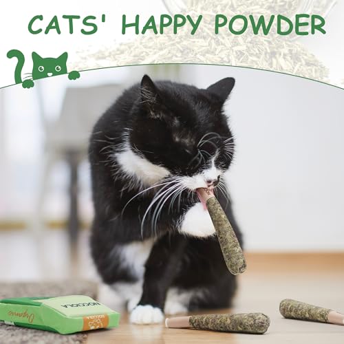Nocciola 3 Pack Catnip Toys for Cats, Funny Cat Toys Filled with 100% Pure Organic Catnip, Safe Kitten Teething Chew and Kicker Toys - color: Green for Strong Chewers