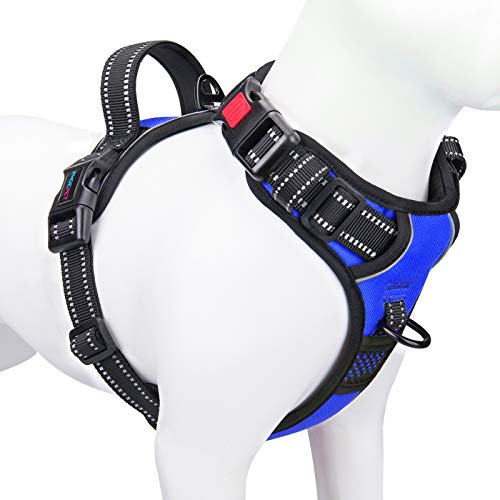 PHOEPET No Pull Dog Harness Medium Reflective Front Clip Vest with Handle,Adjustable 2 Metal Rings 3 Buckles,[Easy to Put on & Take Off](XS, Royal Blue) - color: Royal Blue, size: Extra Small
