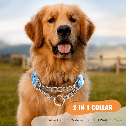 Martingale Dog Collar with Stainless Steel Chain, No Pull Slip Cinch Choker Choke Collar Training Escape Proof Heavy Duty Dog Collar for Medium Large Extra Large Pet Boy Male Dogs, Blue L - color: 5, size: L(Neck19-24")