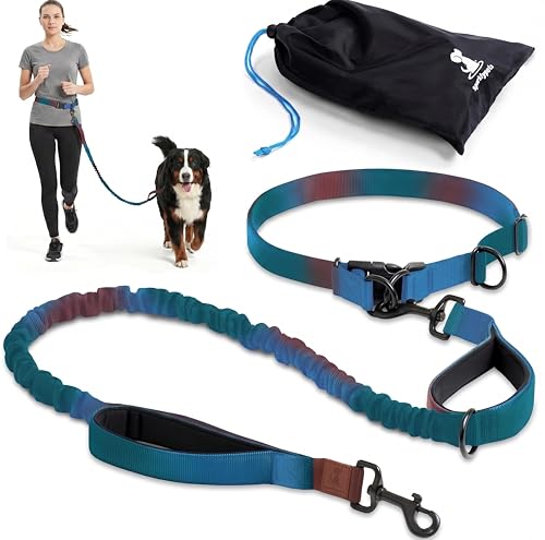 SparklyPets - Hands Free Dog Leash with Reflective Stitches - Waist Leash for Male Dog Walking, Hiking, Training, Jogging, Canicross, Running - Medium & Large Dogs, Gradient Blue - color: Gradient Blue, size: 1 dog M/L