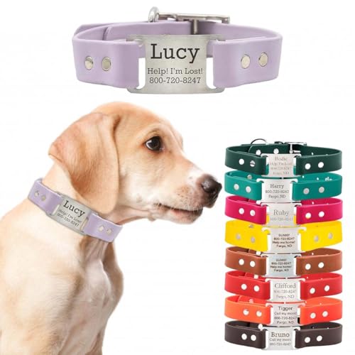 dogIDs Personalized Dog Collar – ScruffTag Custom Waterproof Biothane Dog Collar with Laser-Engraved Name, Durable & Odor-Resistant – USA Made | Lavender, 1 in x 16 in (Fits Neck Sizes 14-18 in) - color: Lavender, size: 1 in x 16 in (Fits Neck Sizes 14-18