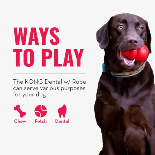 KONG Dental with Rope- for Dog Dental Care - Stuffable Chew Toy - Provides Chewing Outlet & Satisfies Instinctual Needs - Cleans Teeth & Gums - Made with Durable Natural Rubber - for Medium Dogs - size: Medium (Pack of 1)