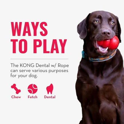 KONG Dental with Rope- for Dog Dental Care - Stuffable Chew Toy - Provides Chewing Outlet & Satisfies Instinctual Needs - Cleans Teeth & Gums - Made with Durable Natural Rubber - for Medium Dogs - size: Medium (Pack of 1)
