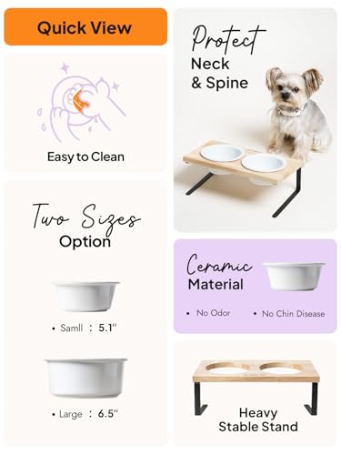 Elevated Dog Bowls, Raised Dog Bowl Stand with Two 5.1 inch Ceramic Bowls, Non-Slip Cat Food and Water Dish for Small and Medium Breed, White - color: White, size: 5.1inch