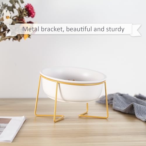 White Large Ceramic Tilted Elevated Cat Dog Bowl Raised Cat Food Water Bowl Dish Pet Comfort Feeding Bowls with Gold Iron Stand - color: White, size: Large