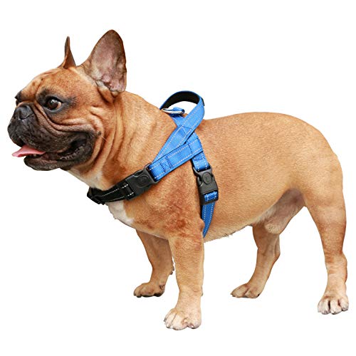 iChoue French Bulldog Harness Adjustable Padded Locked Buckle with Handle for Frenchie Pug English Boston Terrier Dogs, Blue, Small - color: A Harness Blue, size: Small ( 5 - 25 lbs )
