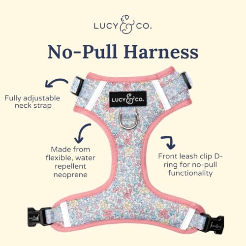 Lucy & Co. Ditsy Daydream No-Pull Dog Harness, Adjustable Front Clip Harness with Comfort Padding, Small - color: Ditsy Daydream, size: Small