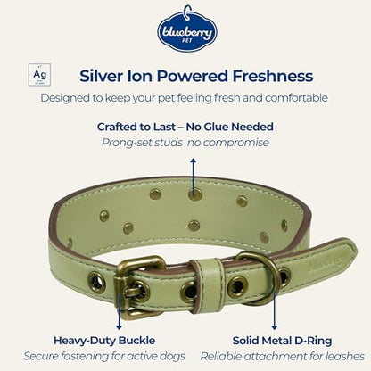 Blueberry Pet Premium Embossed Sage Green Glam Silver-Powered Freshness Microfiber Leather Dog Collar with Antique Brass Studs - color: Sage Green, size: Small