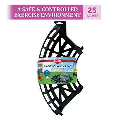 Kaytee Hamtrack Exercise Loop for Exercise Balls & Critter Cruiser Car (includes 4 curved sections)
