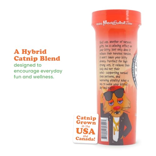 Meowijuana Jump 'n' Jamb Door Hanging Cat Toy | Sloth | Refillable Interactive Catnip Toy | Promotes Play and Cat Health | Includes Potent Catnip Grown in North America - color: Sloth Bundle