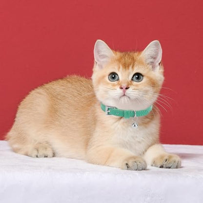 PUPTECK 2 PCS Soft Genuine Leather Cat Kitten Collar with Bells Adjustable for Girl Boy Cats Puppy - Blue Green, Bubble Green - color: Blue Green & Bubble Green