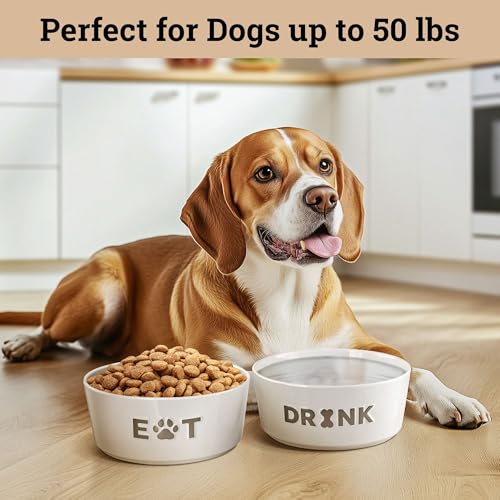 Ceramic Dog Bowl Set of 2 with Anti-Skid Base - 6.5" Wide x 2.5" Tall Ceramic Dog Bowls Medium Sized Dogs - 3.8 Cup Capacity Food and Water Bowls for Dogs - Rubber Bottom Pet Bowl Set of 2 Medium Size - color: Gray, size: Medium