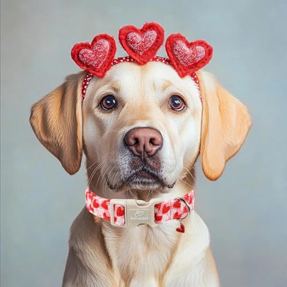 Valentines Dog Collar for Puppy Small Dogs - Cute Pink Girl Dog Collar, Doodle Heart Pattern, Adjustable Valentine Dog Collars with Red Heart Charm XS - color: Doodle Heart, size: XS