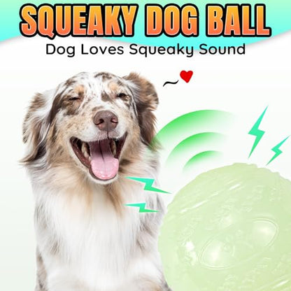LECHONG 4-Pack 2.5” Glow in The Dark Squeaky Dog Balls, Durable Glowing Bouncy Rubber Fetch Toy Balls for Small Medium Puppy Dogs Nighttime Playing Indoors and Outdoors - size: 2.5in Medium