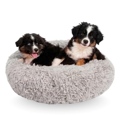 Active Pets Large Dog Bed, Calming Orthopedic Pet Bedding for Anxiety Relief, Joint Support & Comfort, Washable Dog Furniture, M 45lbs, Light Grey - color: Light Grey, size: Medium 30"