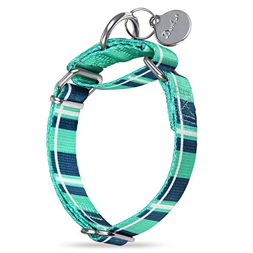 Martingale Collar Dog Collar No Pull Pet Collar Heavy Duty Dog Martingale Collars Silky Soft with Unique Pattern for Medium and Large Dogs (Medium, 1 Inch Wide, Teal Plaid) - color: Teal Plaid, size: Medium: 14"-21", 1" Wide