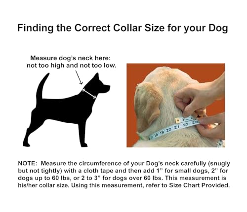 Wagtime Club Reflective Dog Collar with Buckle Quick Release Adjustable Nylon Collar for Small Medium Large Dogs (Large, Bright Blue) - color: Blue, size: l