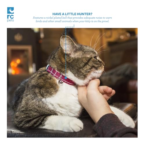 RC Pet Products Primary Collection Kitty Breakaway Collar, Red, 1/2" - color: Red