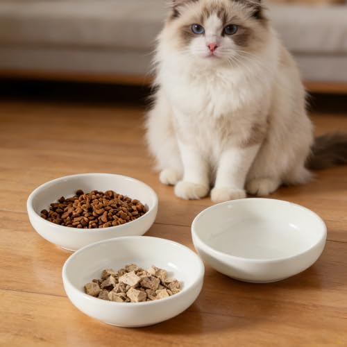 5.3 in Ceramic Cat Dishes - Shallow Food Bowls for Small Pets, 3 Pack for Food and Water -White - color: white