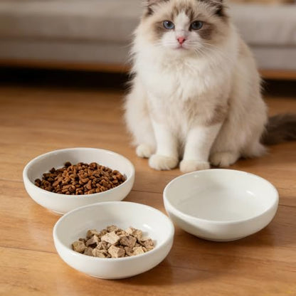 5.3 in Ceramic Cat Dishes - Shallow Food Bowls for Small Pets, 3 Pack for Food and Water -White - color: white