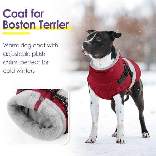 Small Dog Coat with Harness Built in, Warm Dog Jacket Winter with Zipper On Back, Waterproof Pet Snow Jacket Snowsuit Pet Sweater Clothes for Puppy, Burgundy XS - color: Burgundy, size: X-Small