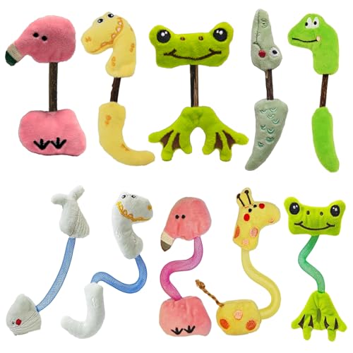 Interactive Cat Toys Set, Silvervine Chew Sticks and Cat Spring Toy, Indoor Catnip Toys for Exercise and Dental Care, for Adult Cats and Kittens (10 Packs) - color: 10 Packs