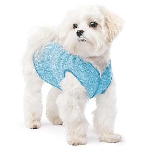 Goldpaw Dog Sun Shirt with UV Protection - Lightweight, Cooling Sun Protection Clothing for Small Dogs - Reduce Heat Absorption - Made in The USA - Machine Washable - Ocean Blue - Size 8 - color: Ocean Blue, size: 8