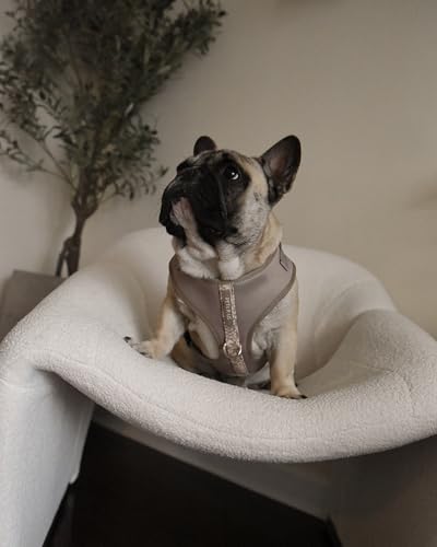 Premium No-Pull Dog Harness Soft Neoprene & Breathable Mesh Vest with Front & Back Clip D-Rings Adjustable Lightweight Walking Harness for Puppies, Small & Medium Dogs (Brown Taupe Snake, M) - color: Brown Taupe Snake, size: M: Neck=15.4-20.1''/Chest=18.1