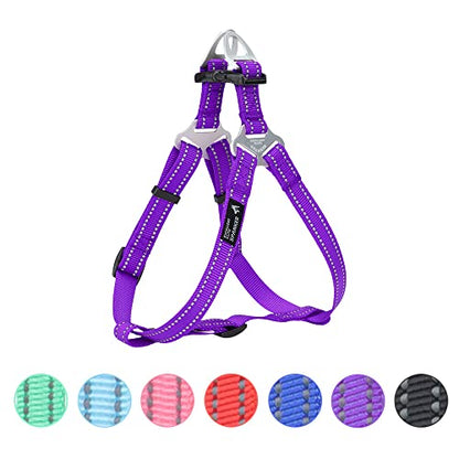 EXCELLENT ELITE SPANKER No Pull Dog Harness Adjustable Nylon Step-in Easy Pet Vest Chest Strap with Reflective and Leash Ring for Small Medium Large Breed Dogs Training Walking(Purple-M) - color: Purple, size: M