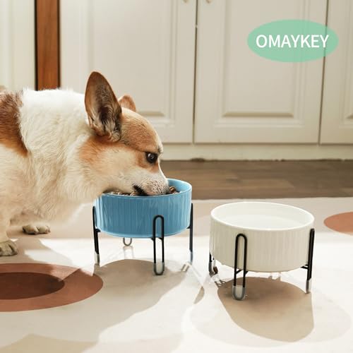 32 OZ Raised Dog Cat Bowls with Elevated Metal Stand, 6.5 Inch Ceramic Round Pet Food and Water Feeder Bowl Dish for Cats & Dogs, White & Blue, Set of 2 - color: White & Blue