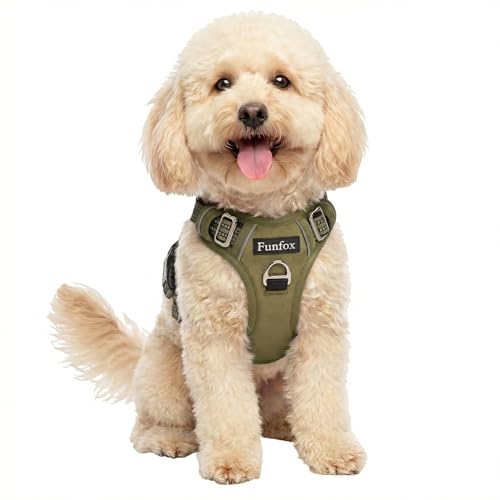 Funfox Dog Harness No Pull, Adjustable Pet Vest Harness, Super Soft Material with Vertical Handle Easy Control, Reflective Night Walking, 2 Leash Clips for Small Sized Dogs, Army Green, S - color: Army Green, size: Small