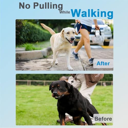 Prong Collar for Dogs, Dog Training Collar, Adjustable Size Dog Pinch No Pull Collar with Quick Release Buckle for Small Medium Large Dogs(Packed with Two Extra Links) - size: M/L(18-23" Neck, 3.00mm)
