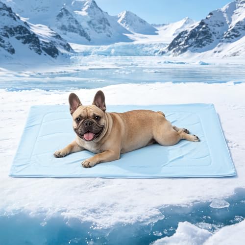 Mora Pets Premium Cooling Blanket for Dogs, Q-MAX>0.5 Washable Breathable Cooling Mat, Lightweight Soft Summer Pet Throw Blanket, Furniture Protector Bed Couch Cover for Small Dog Cat, Blue, 29x40 - color: Light Blue, size: Medium (29x40")