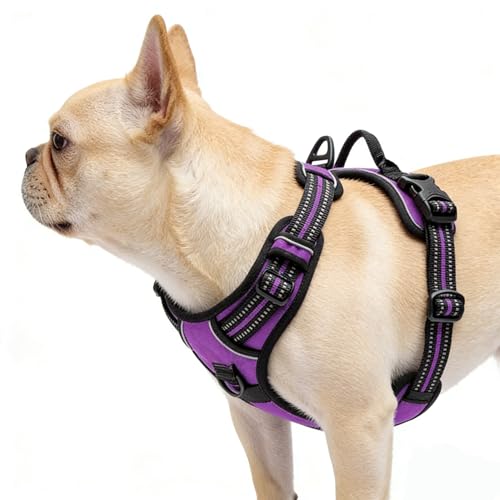 Purple No-Pull Dog Harness with 2 Leash Clips，Soft Padded Vest for Medium Dog, Adjustable Reflective Dog Vest Easy to Put on and Take Off, (Neck: 14"~20", Chest: 21"~27", Purple M) - color: Purple, size: Medium