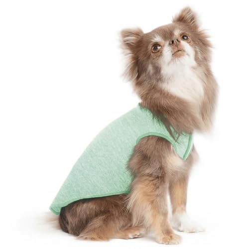 Goldpaw Dog Sun Shirt with UV Protection - Lightweight, Cooling Sun Protection Clothing for Small Dogs - Reduce Heat Absorption - Made in The USA - Machine Washable - Pistachio Green - Size 6 - color: Pistachio Green, size: 6