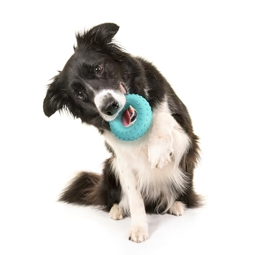 Playology Dog Toys | Dual Layer Ring Durable Dog Toy for Tough Chewers | Peanut Butter Scented Medium Chew Toy for Dogs - size: Medium, style: Peanut Butter