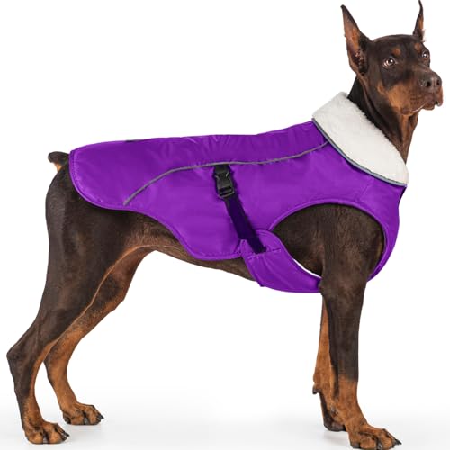 EMUST Dog Jacket Winter, Cozy Windproof Dog Jacket for Cold Weather, Solid Color Pet Vests for Winter for Medium Dogs, Purple, M - color: Purple, size: Medium