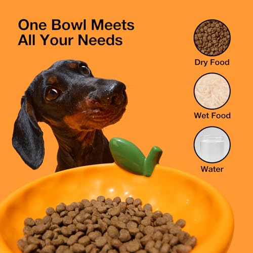 VETRESKA Ceramic Pet Bowl Tilted Design Pet Feeder for Food and Water Anti Vomit Cat Bowls for Indoor Cats Cute Tangerine Cat Bowl Dishwasher Safe - color: Tangerine Bowl