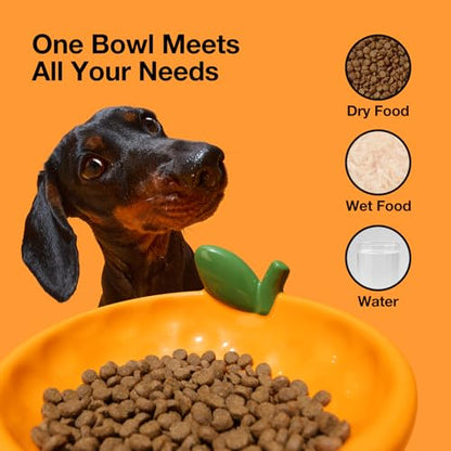 VETRESKA Ceramic Pet Bowl Tilted Design Pet Feeder for Food and Water Anti Vomit Cat Bowls for Indoor Cats Cute Tangerine Cat Bowl Dishwasher Safe - color: Tangerine Bowl
