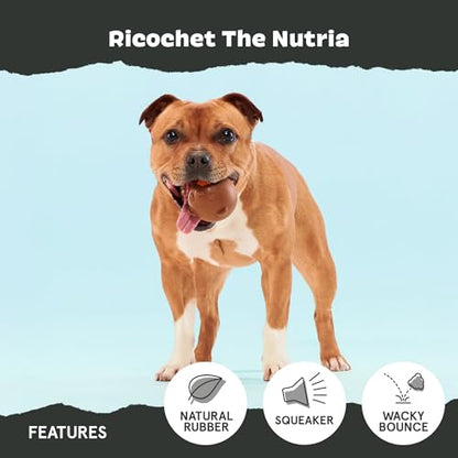 Barkbox Ricochet The Nutria Dog Toy – All-Rubber Design with Fun Squeak, Perfect for Enthusiastic Chewers and Durable Playtime - style: Ricochet The Nutria
