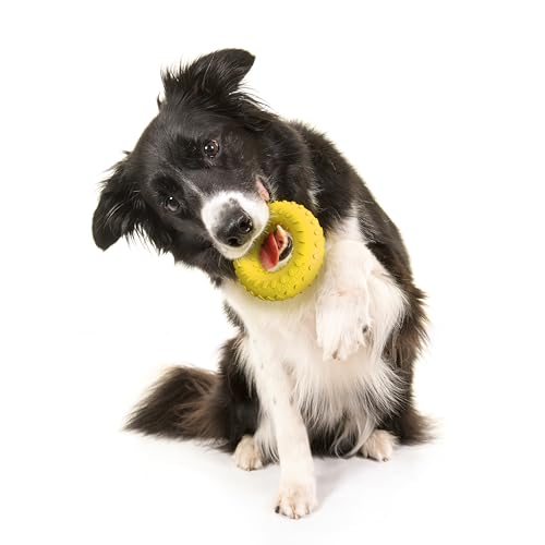 Playology Dog Toys | Dual Layer Ring Durable Dog Toy for Tough Chewers | Chicken Scented Medium Chew Toy for Dogs - size: Medium, style: Chicken