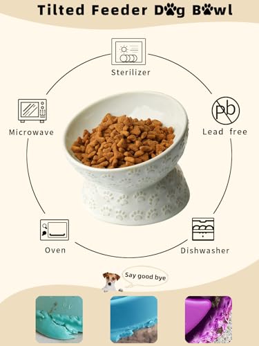 GDCZ Elevated Ceramic Puppy Bowl, 5 Oz Raised and Tilted Water Bowl, Pet Bowl for Small Dog, Fat Faced Cat, Kitten (White) - color: White